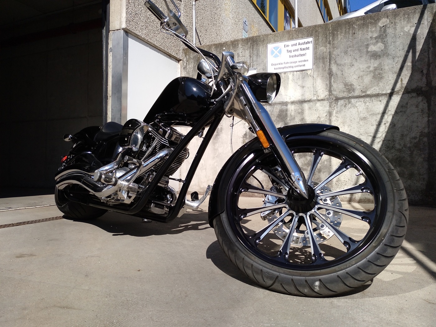 big dog mastiff chopper