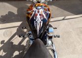 Reale Flammen Bulldog Airride Big Dog Motorcycles