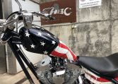 Big Dog Ridgeback USA Flag Easy Rider